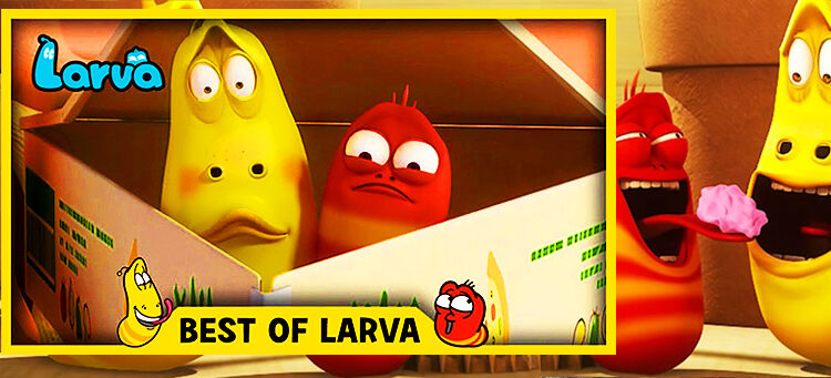 Larva vers 3D et humour en série